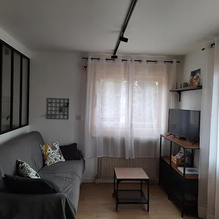 Apartment 4 Pers. 1 Ch. Avec Lave-linge A - Fr-1-846-37 Samoens